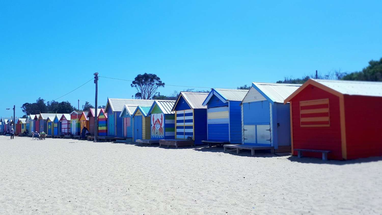 Colourful bathing boxes at Brighton Beach, Melbourne