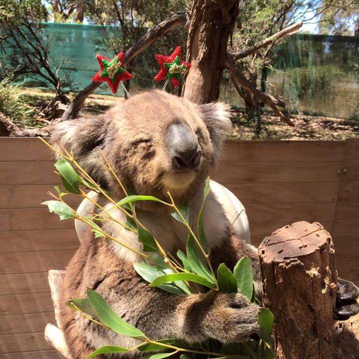 Moonlit Sanctuary Wildlife Conservation Park, Melbourne