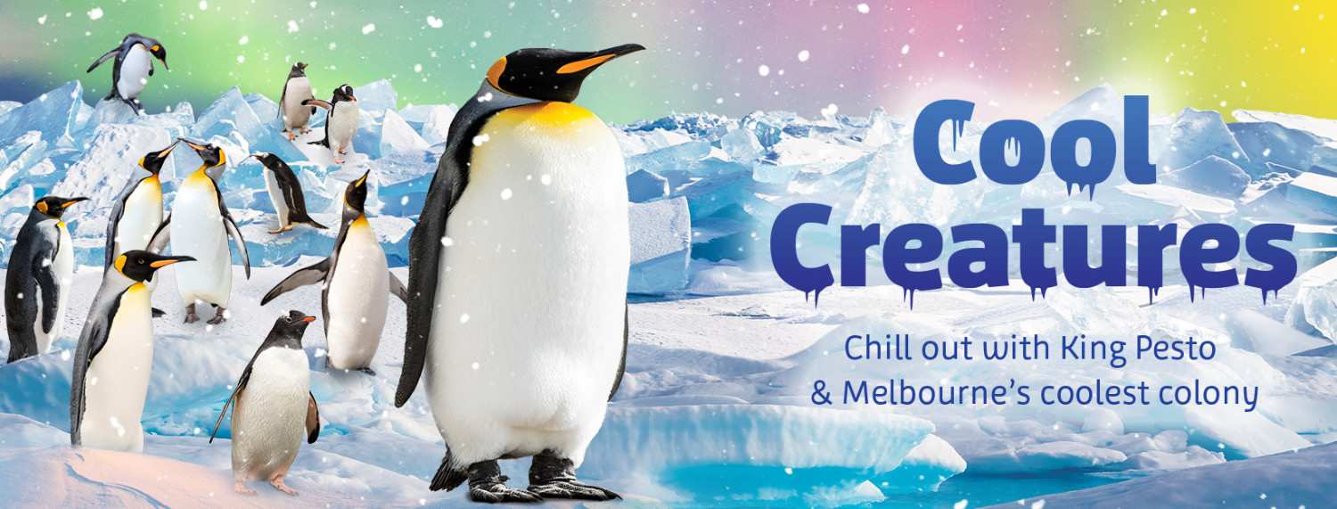 SEALIFE Aquarium, Melbourne