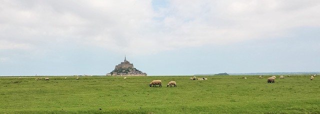 Mont Saint Michel from the meadows