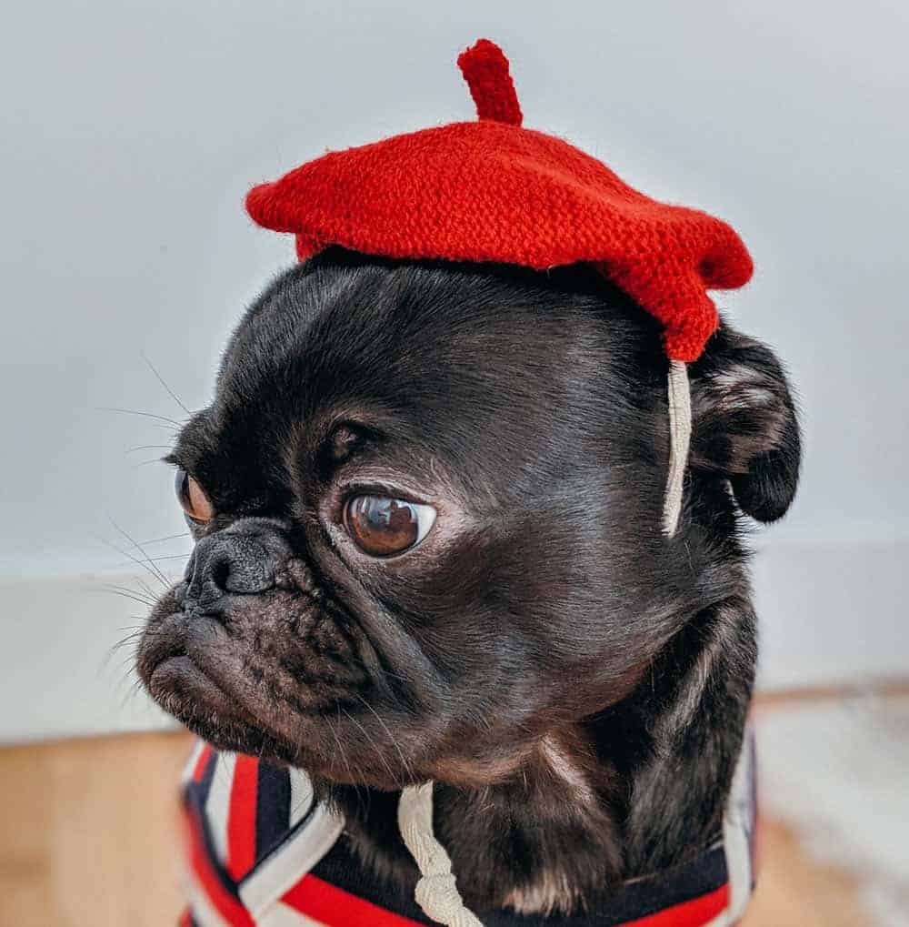 How to dress in Paris to look like a local