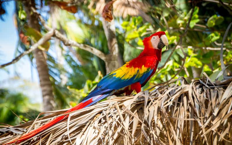 Travel Contests December 2018