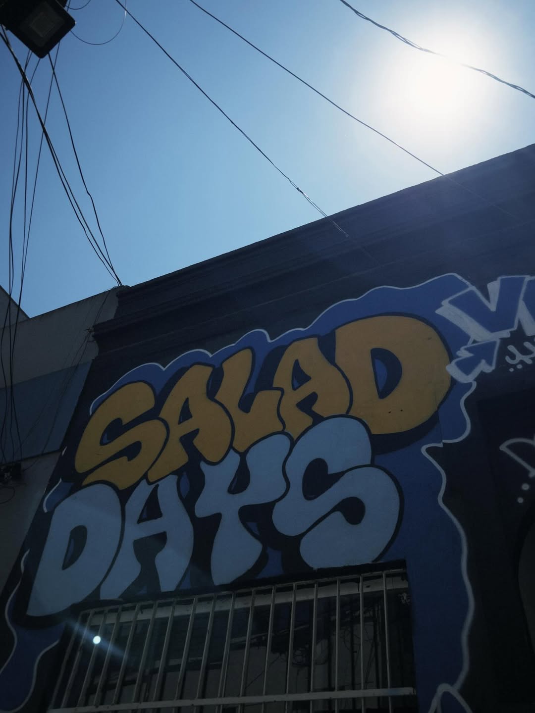 salad-days vegan resto sao-paulo-brazil