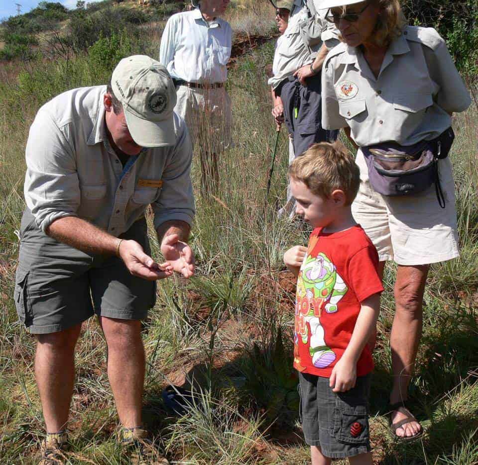 Scorpion-walk-kids-Kloofendal-nature-reserve-Joburg
