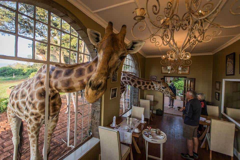 Giraffe Manor, Kenya