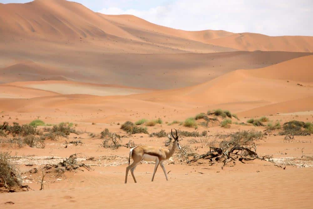 Travel Contests October 2019