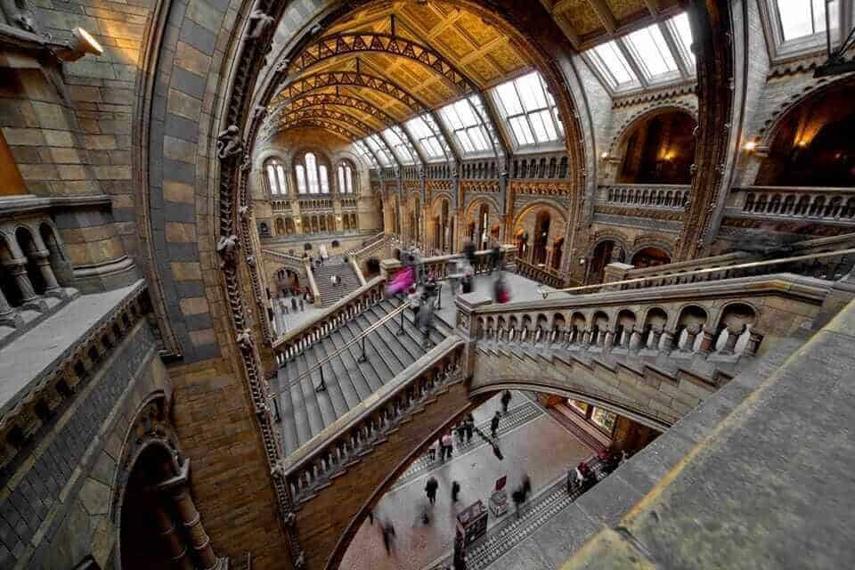 National History Musuem London