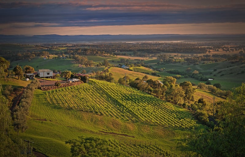 Hunter Valley Winery, Sydney, Australia