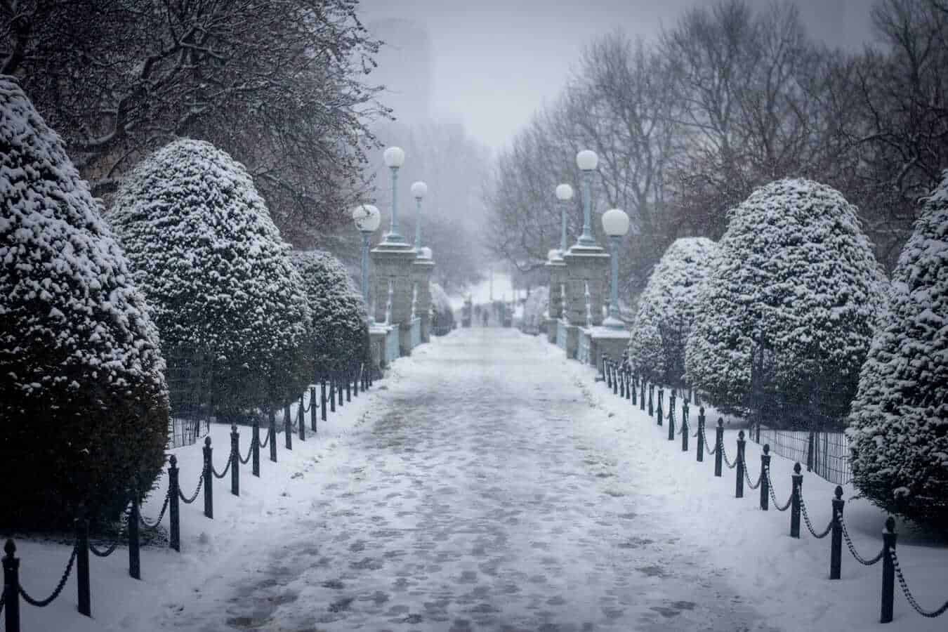 Boston During Winter - Public Garden, Boston, USA