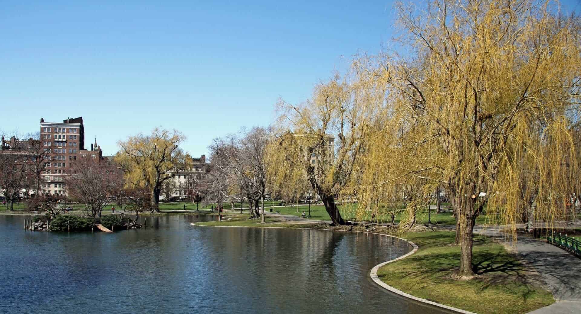 Boston Public Garden