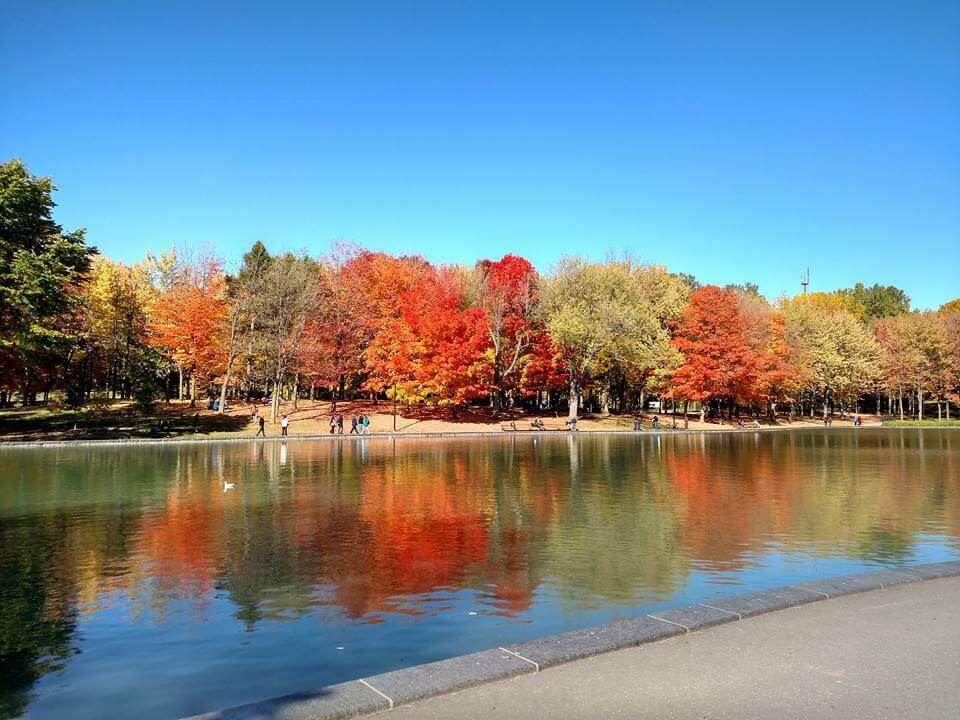 fall-mont-royal-Montreal, Canada