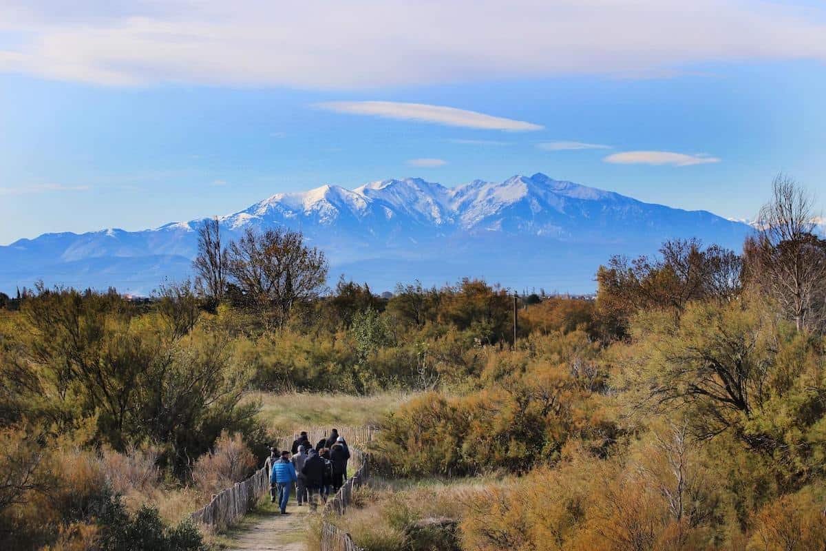 Canigou, Pyrénées, France