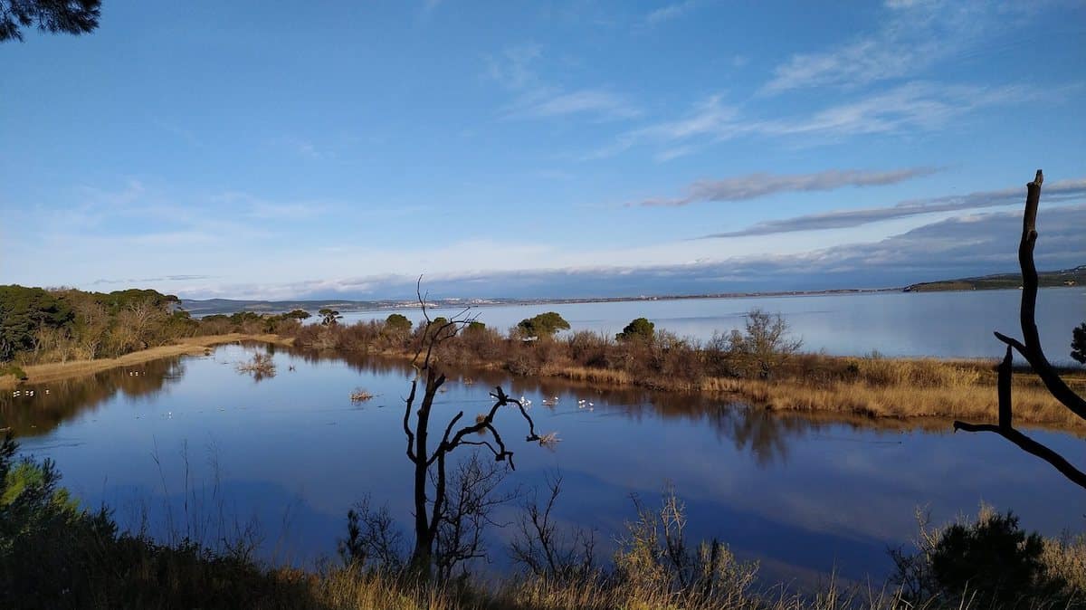 Narbonne Nature Park, Languedoc, France