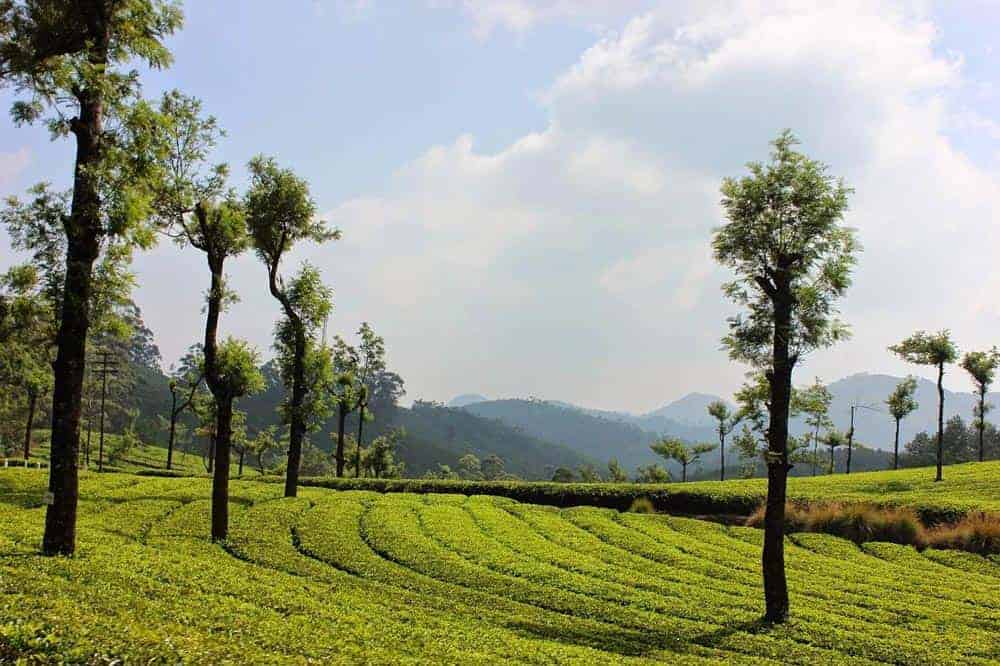 Hill Stations in Kerala