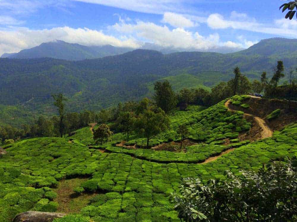 Munnar in Kerala