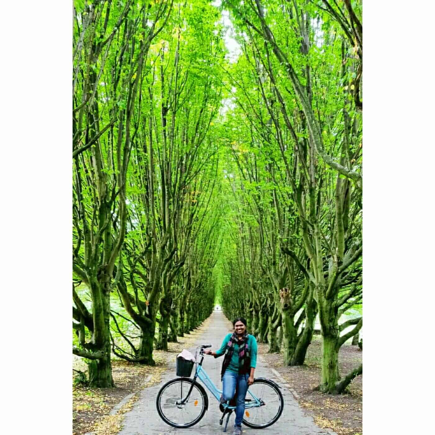 Kasturi-Copenhagen Bike